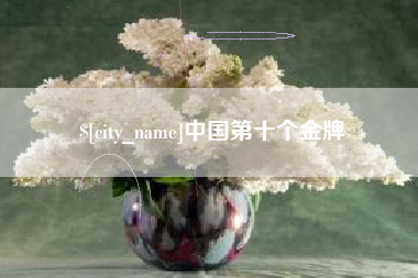 阜新中国第十个金牌