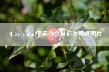 阜新奥运夺金时刻九宫格图片