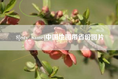 阜新中国地图带省份图片