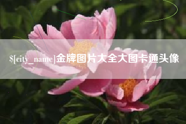 阜新金牌图片大全大图卡通头像