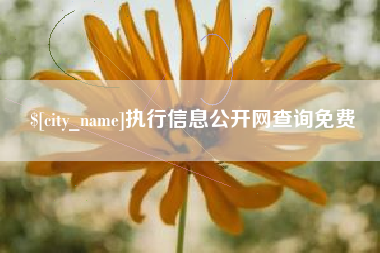 阜新执行信息公开网查询免费