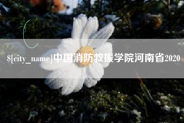 阜新中国消防救援学院河南省2020